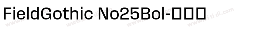 FieldGothic No25Bol字体转换